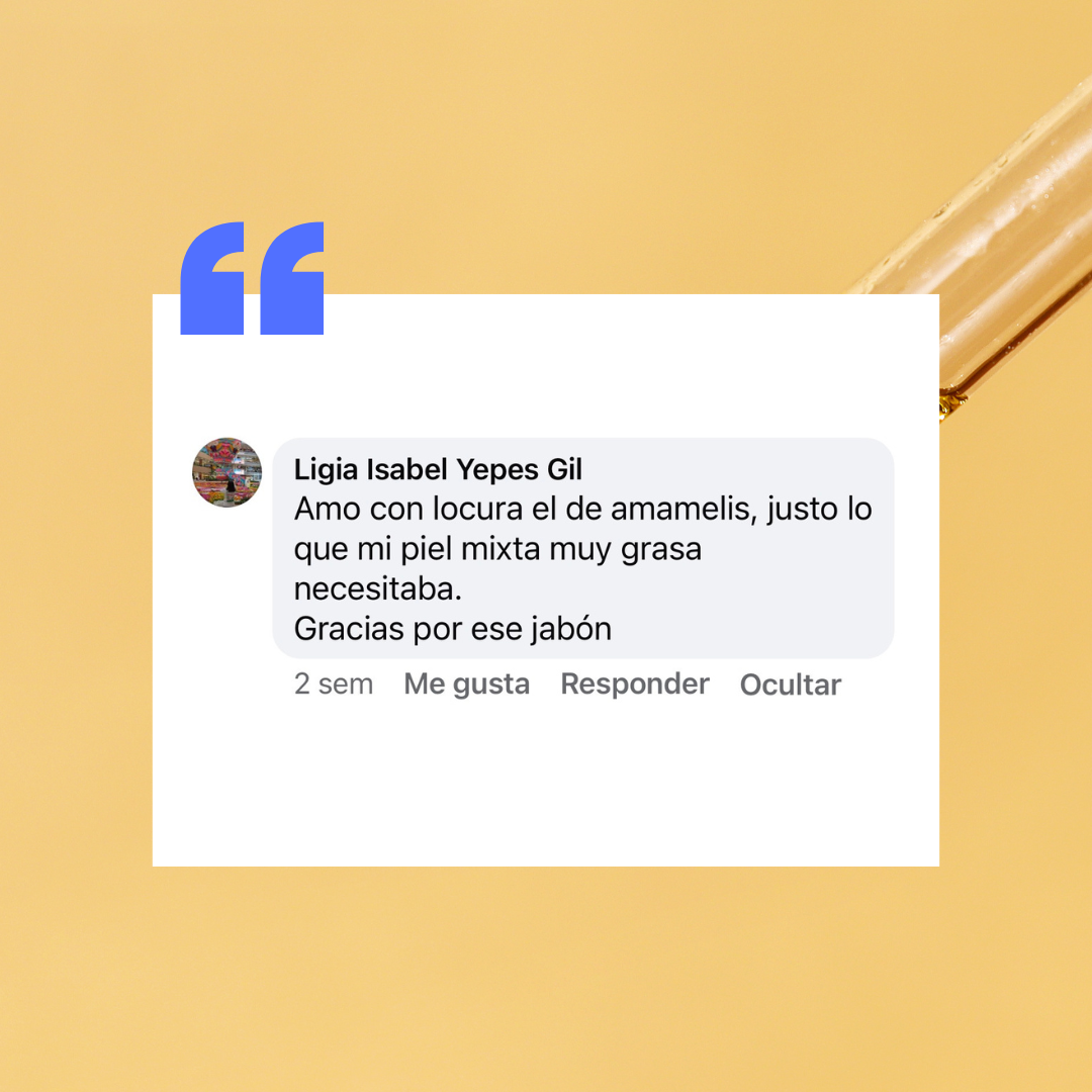 JABÓN CONTROL-GRASA HAMAMELIS